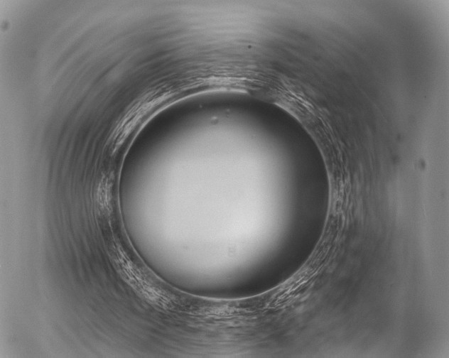 X0000057090098200509120929