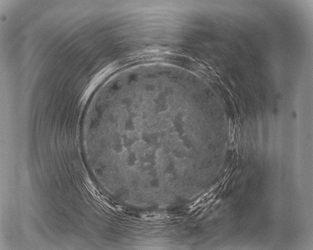 X0000057090099200509120929