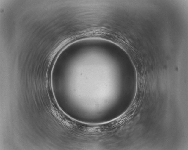 X0000057090100200509120929