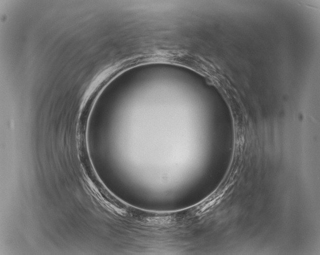 X0000057090102200509120929