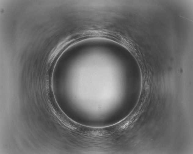 X0000057090103200509120929