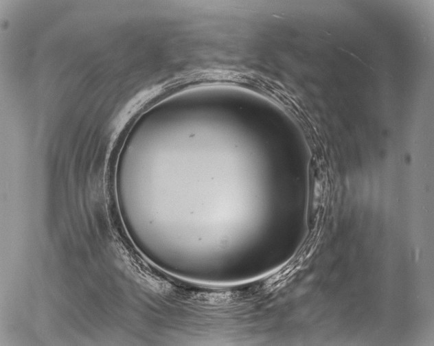 X0000057090104200509120929