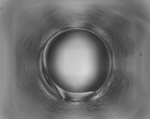 X0000057090105200509120929