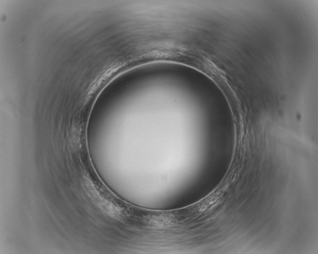 X0000057090106200509120929