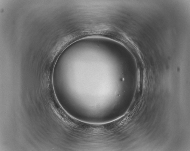 X0000057090107200509120929