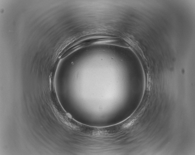 X0000057090109200509120929