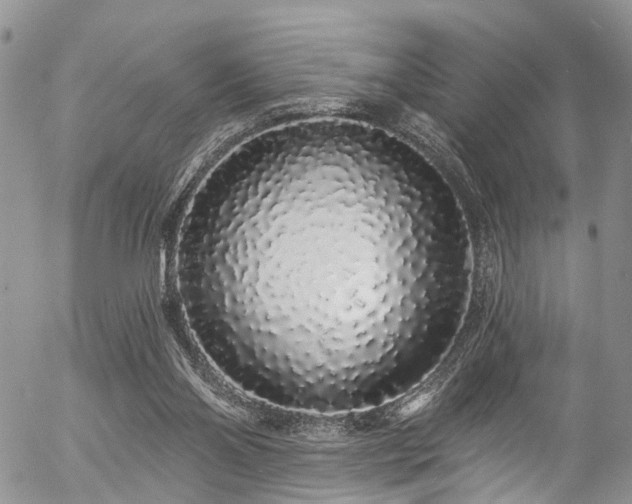 X0000057090110200509120929