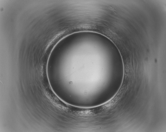 X0000057090112200509120929