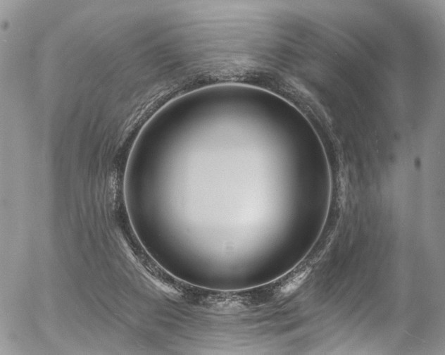 X0000057090113200509120929