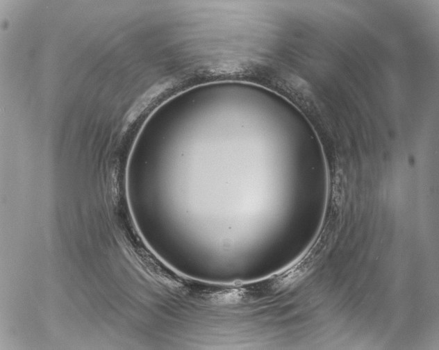 X0000057090116200509120929