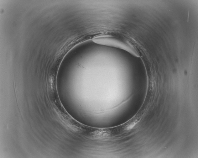 X0000057090117200509120929