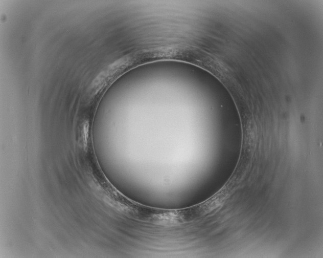 X0000057090118200509120929