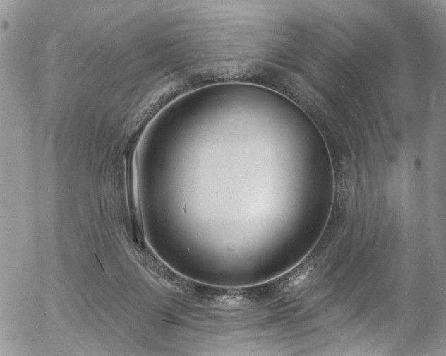 X0000057090119200509120929