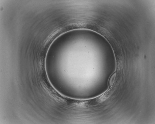 X0000057090120200509120929