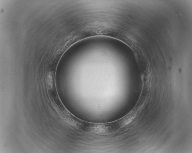 X0000057090121200509120929