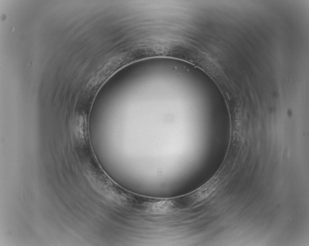 X0000057090122200509120929