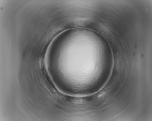 X0000057090123200509120929