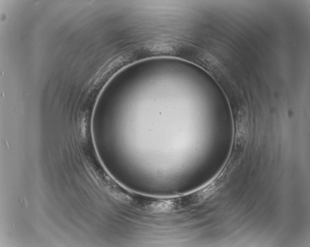 X0000057090124200509120929