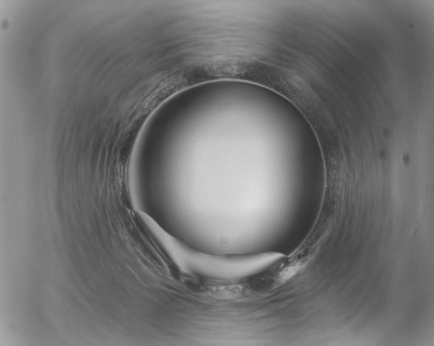 X0000057090125200509120929