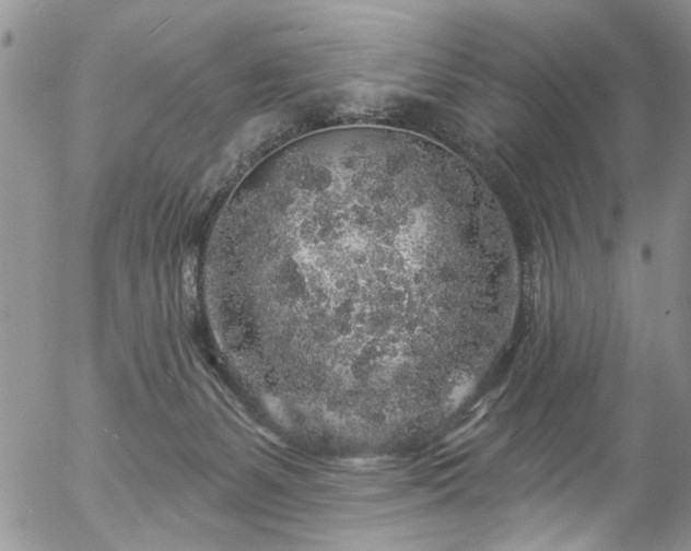 X0000057090127200509120929