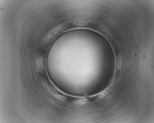 X0000057090128200509120929