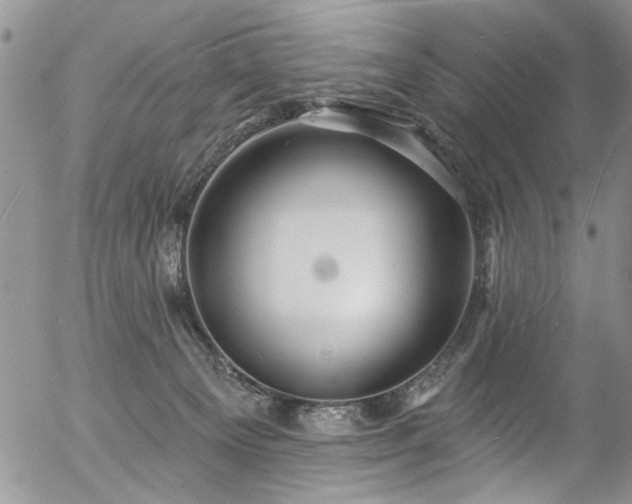 X0000057090129200509120929