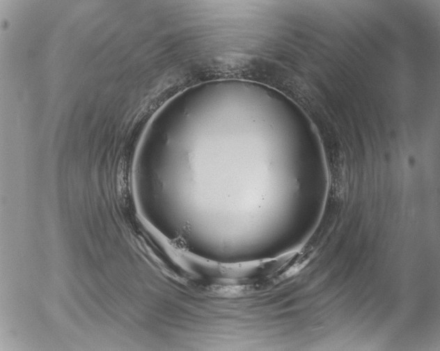 X0000057090131200509120929