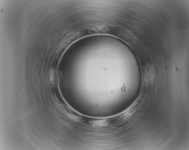 X0000057090132200509120928