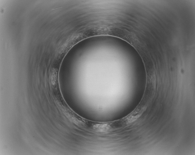 X0000057090133200509120928