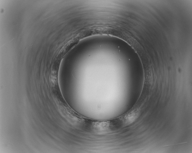 X0000057090135200509120928