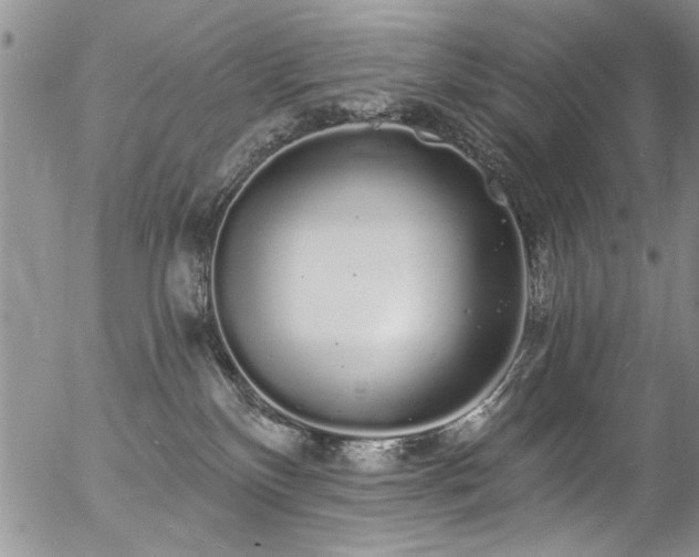 X0000057090136200509120928