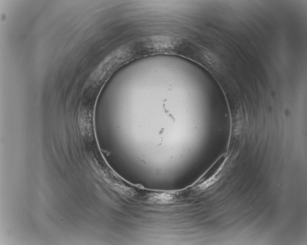 X0000057090140200509120928