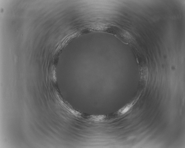 X0000057090143200509120928