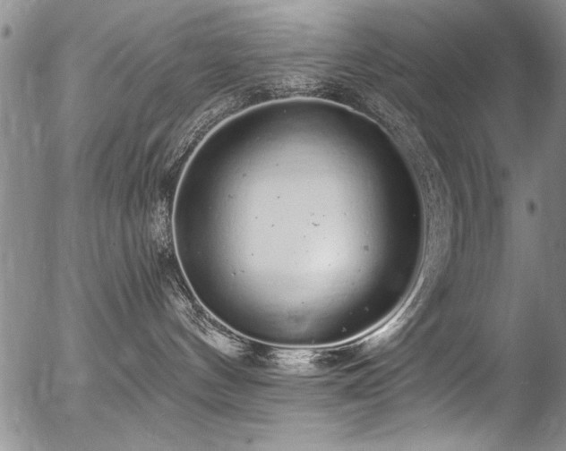 X0000057090144200509120928