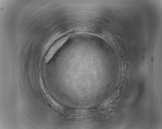 X0000057090145200509120928