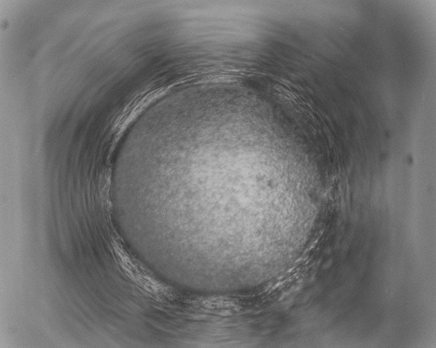 X0000057090146200509120928