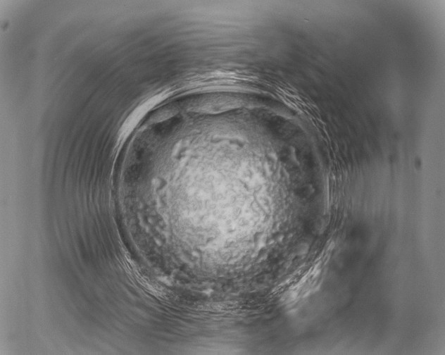 X0000057090147200509120928