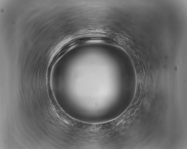 X0000057090148200509120928