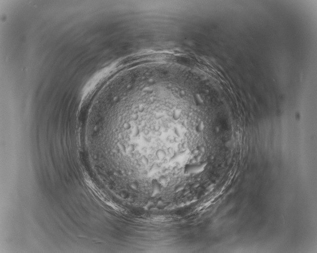 X0000057090149200509120928