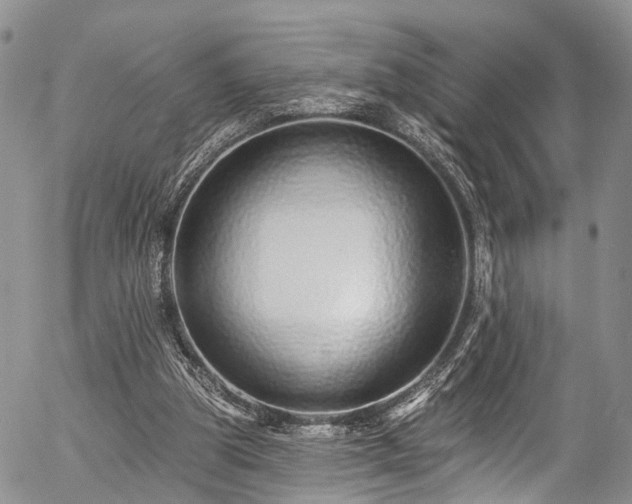 X0000057090153200509120928