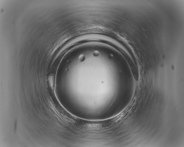 X0000057090154200509120928