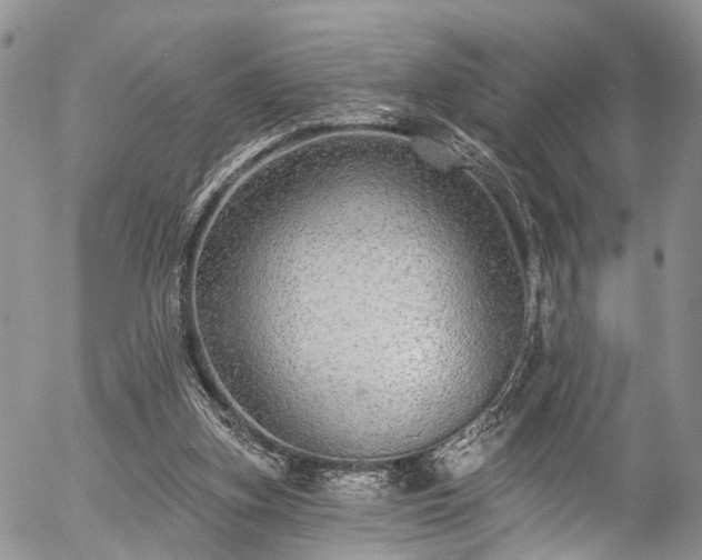 X0000057090155200509120928