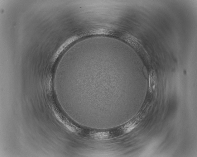 X0000057090156200509120928