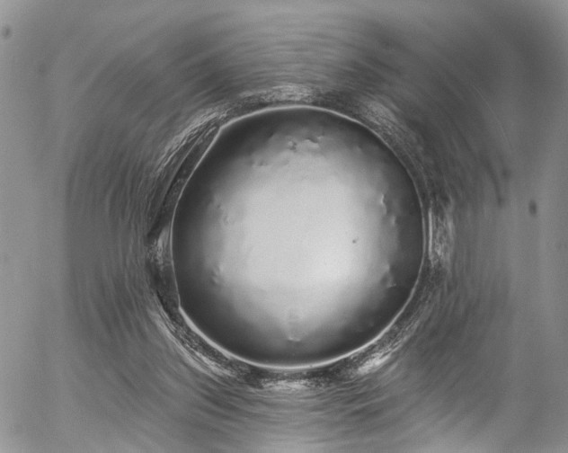 X0000057090157200509120928