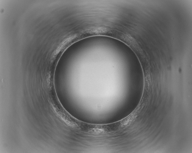 X0000057090159200509120928