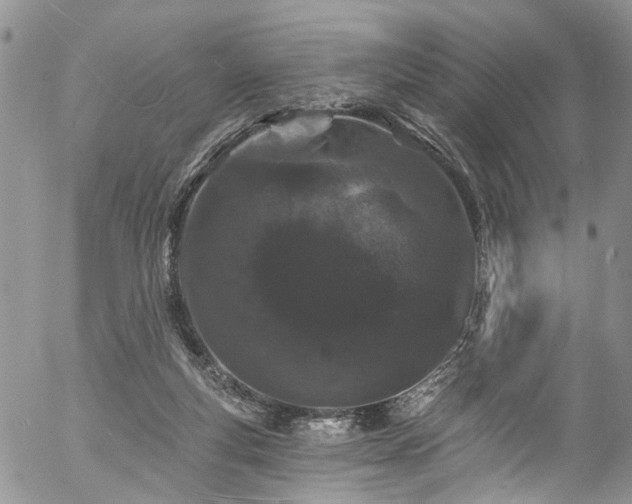 X0000057090163200509120928