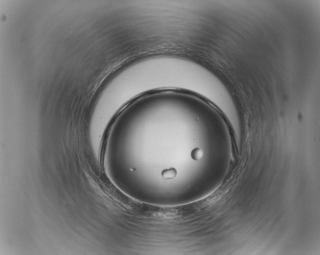 X0000057090164200509120928