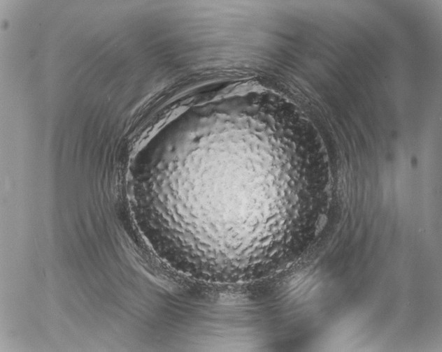 X0000057090165200509120928