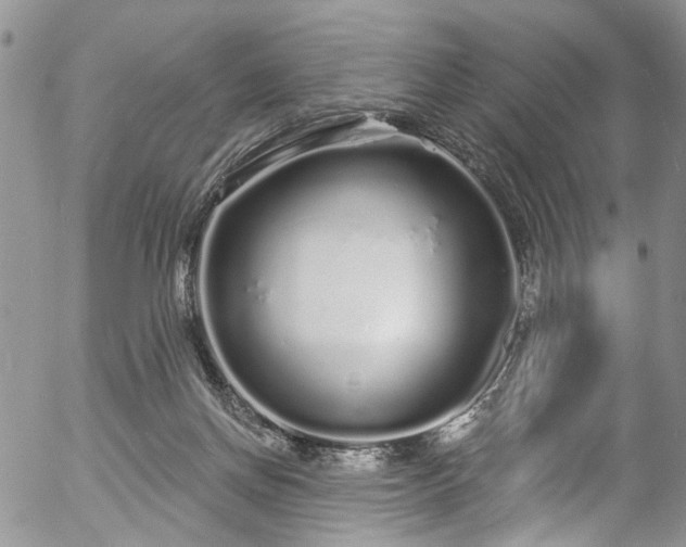 X0000057090166200509120928