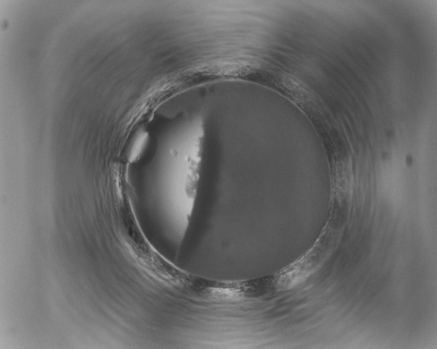 X0000057090167200509120928